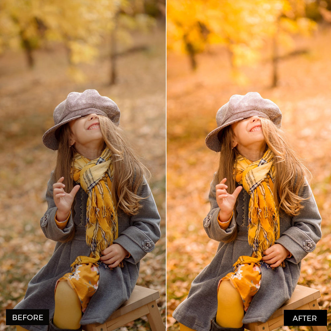 Autumn Gold Lightroom Presets 