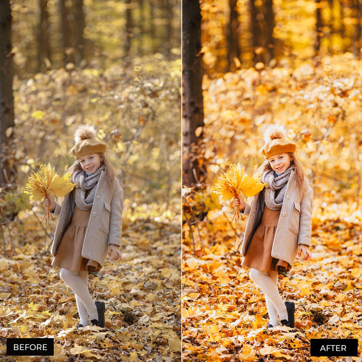 Autumn Gold Lightroom Presets 
