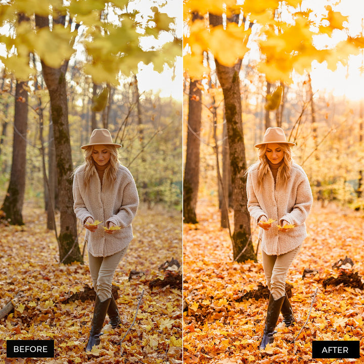 Autumn Gold Lightroom Presets 