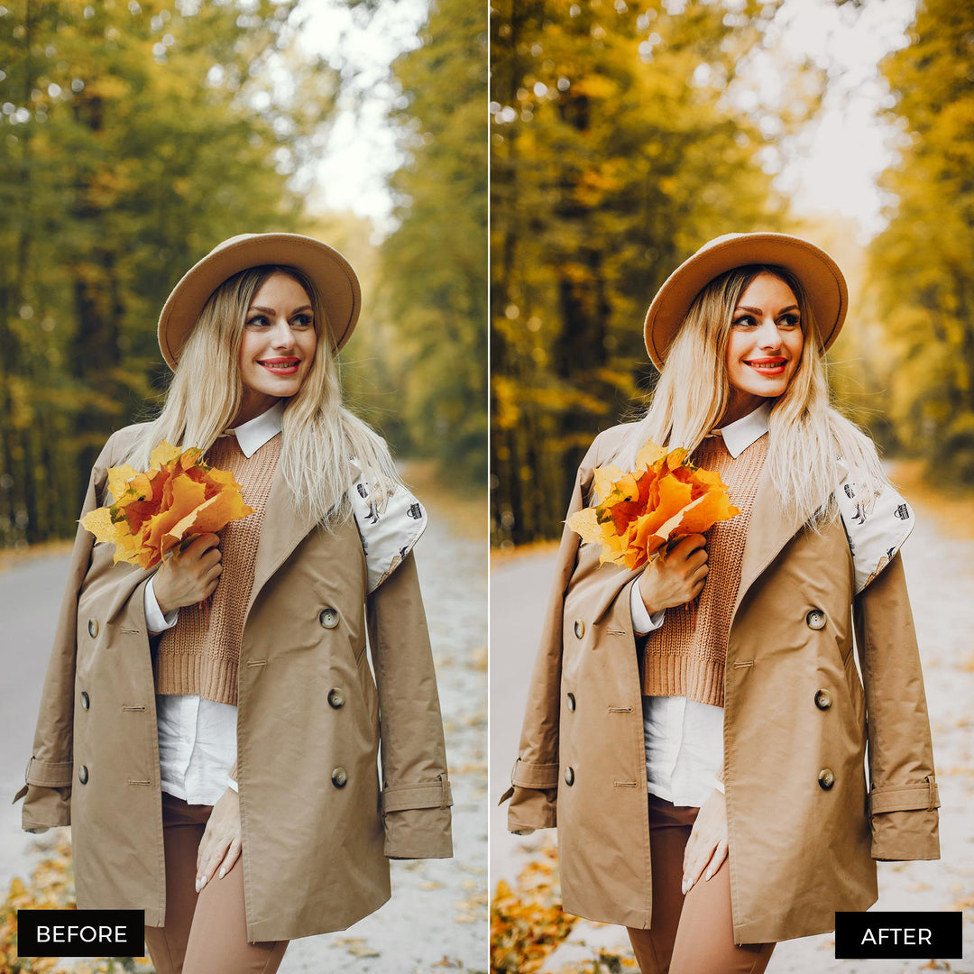 Autumn Gold Lightroom Presets 