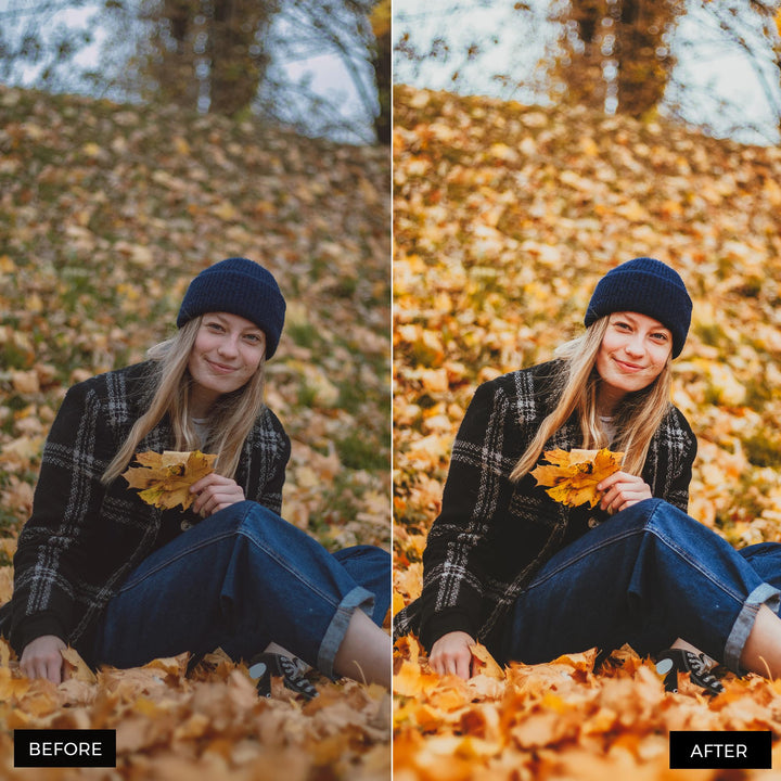 Autumn Gold Lightroom Presets 