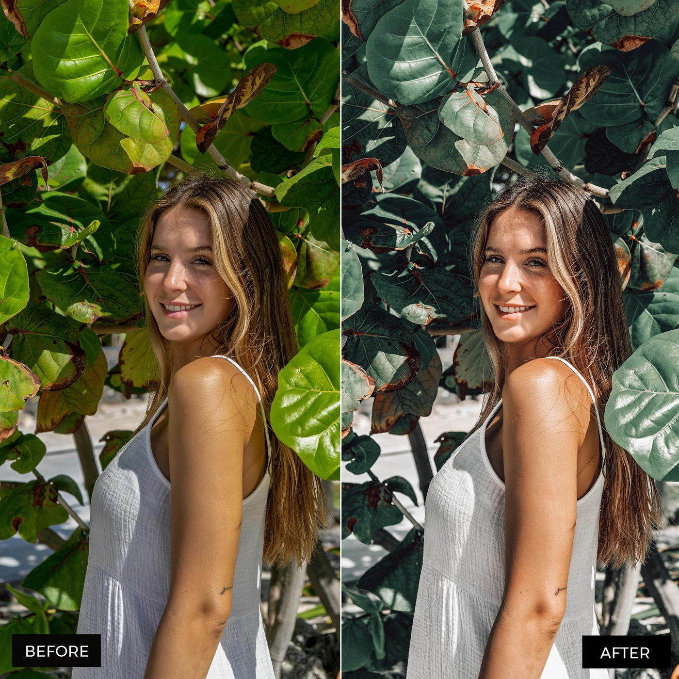 Avocado Lightroom Presets