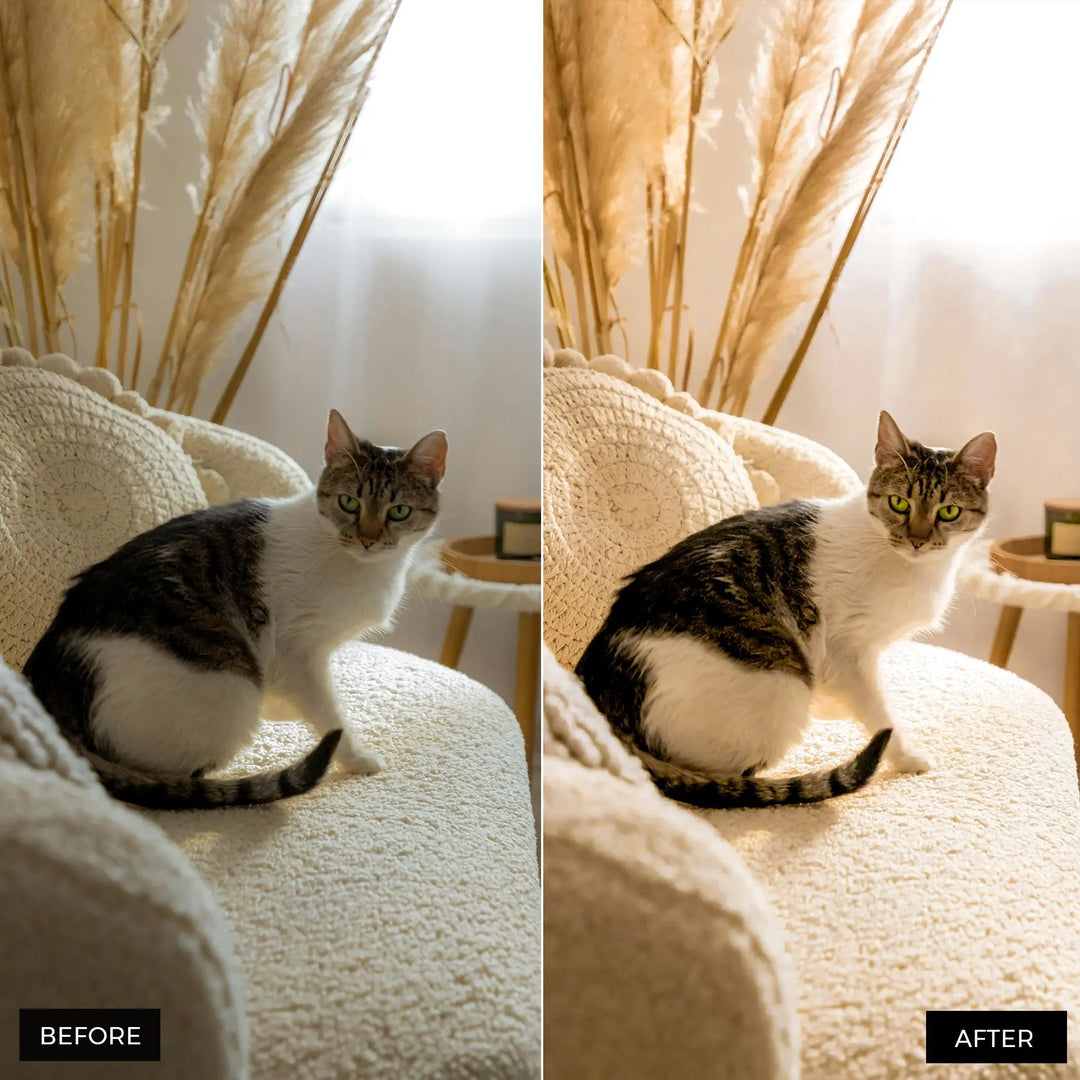 Bohemian Lightroom Presets