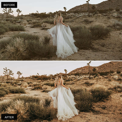Bohemian Lightroom Presets Collection