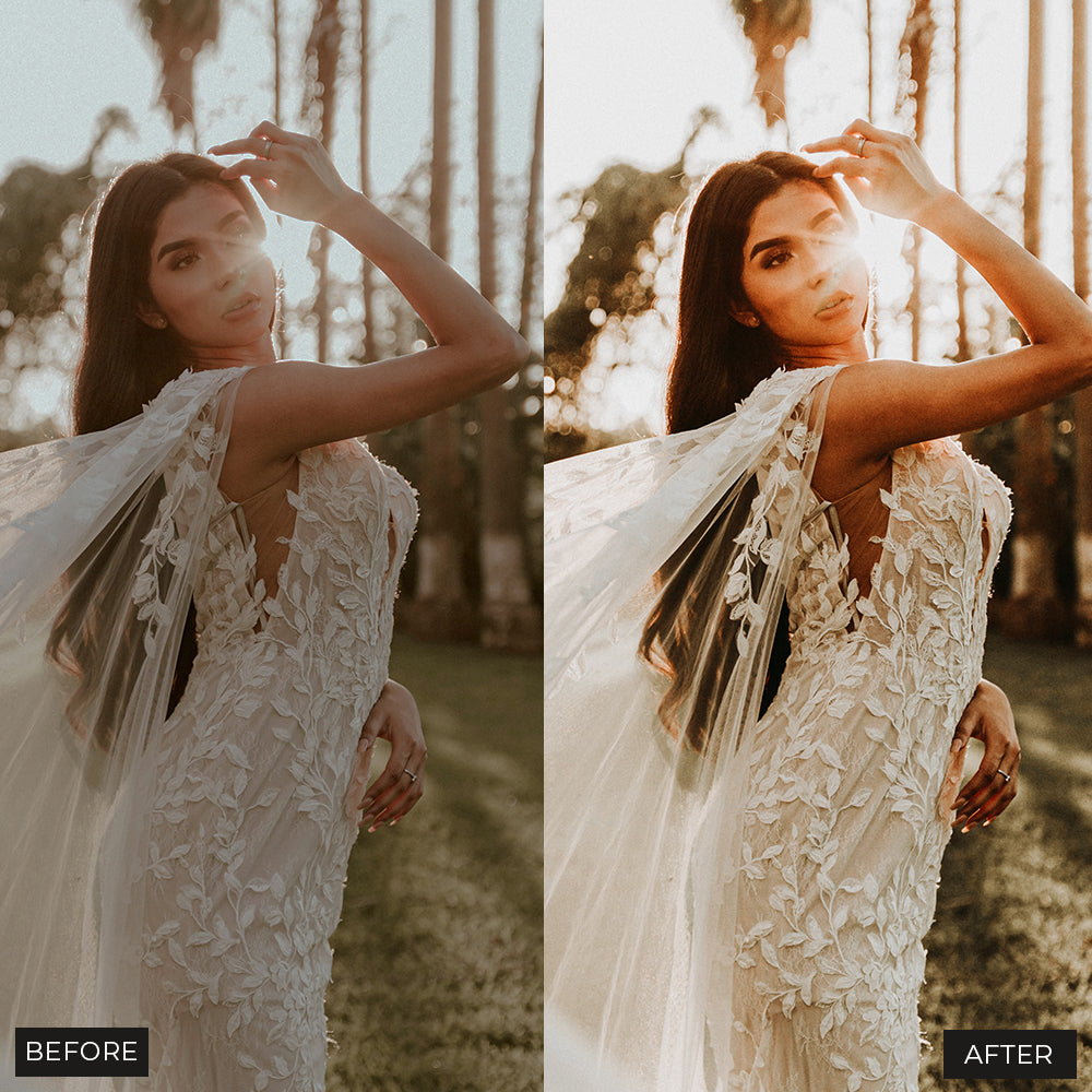 Bohemian Wedding Luts 