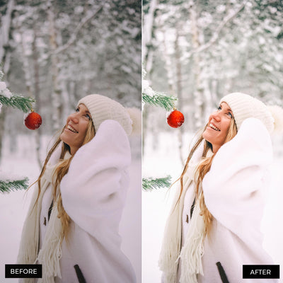 Bright winter Lightroom Presets 