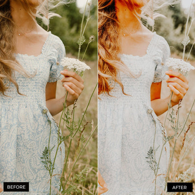 Warm Tones Lightroom Presets