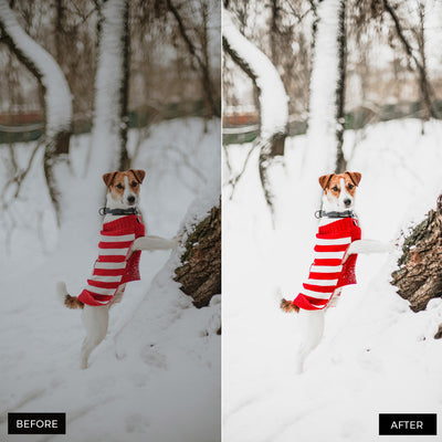 Cozy Holiday Lightroom Presets