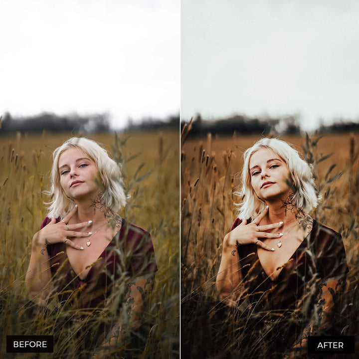 Dark Moody Lightroom Presets 