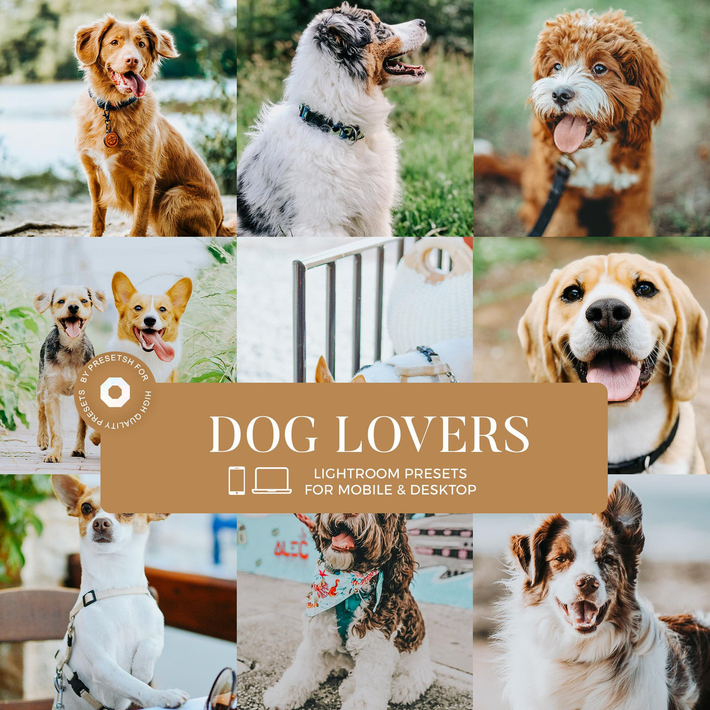 Dog Lovers Lightroom Presets