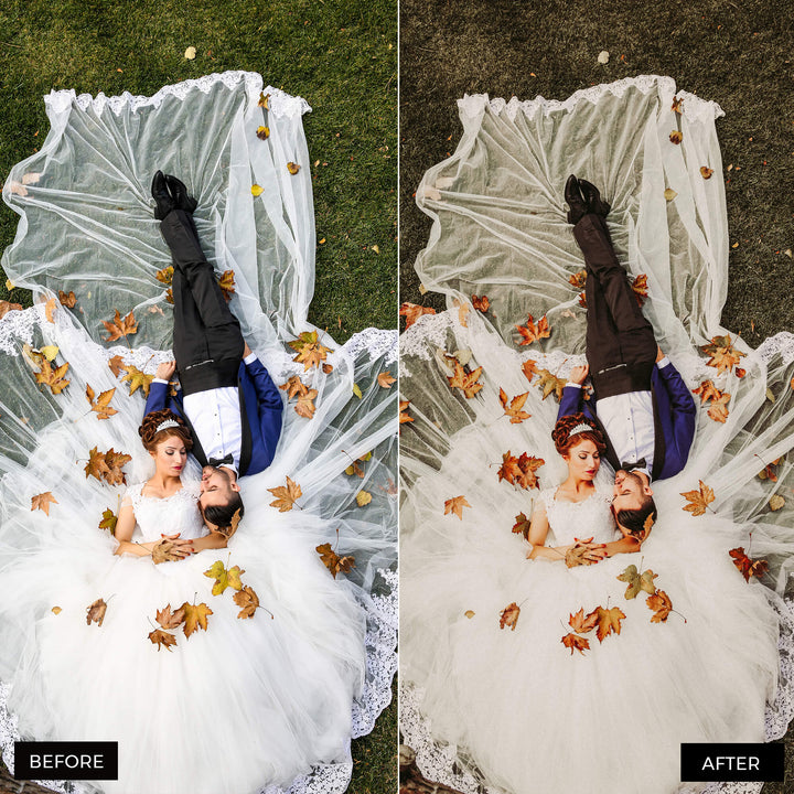 Earth Tones Lightroom Presets