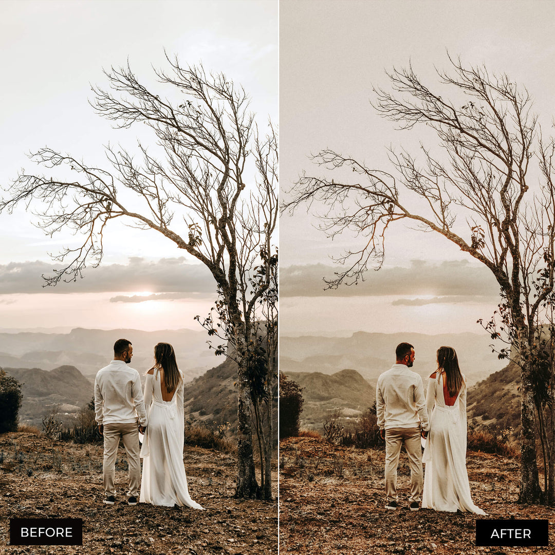 Earth Tones Lightroom Presets