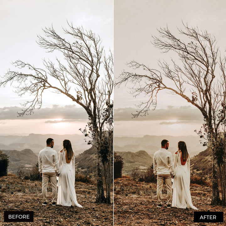 Earth Tones Lightroom Presets