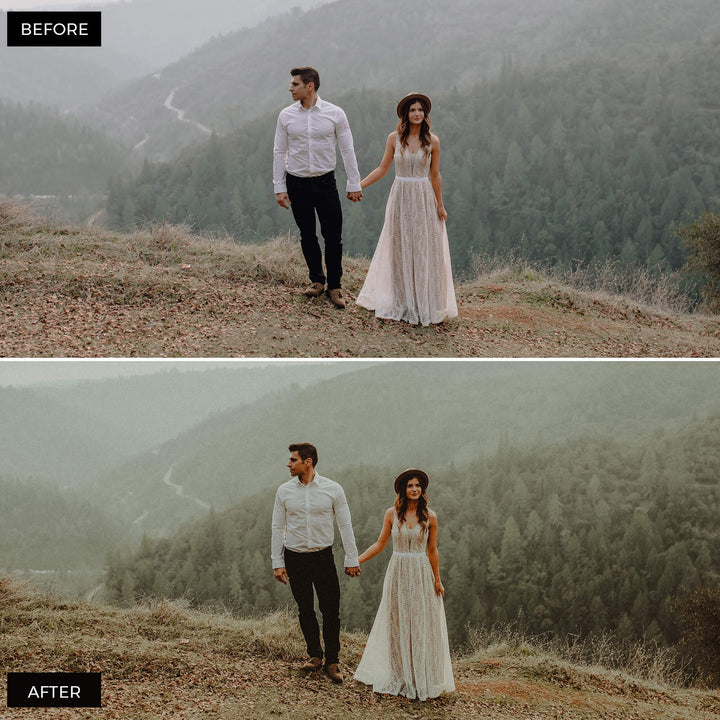 Earth Tones Lightroom Presets