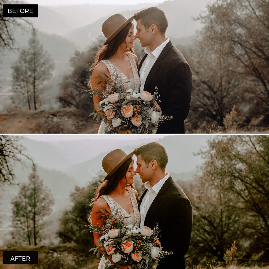 Earth Tones Lightroom Presets