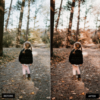 Autumn Lightroom Presets