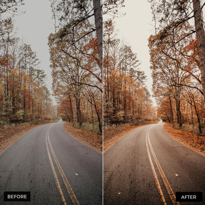 Autumn Lightroom Presets