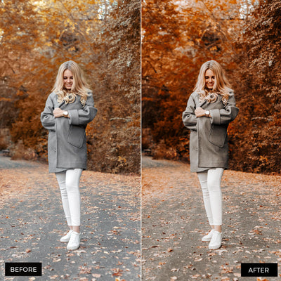 Autumn Lightroom Presets