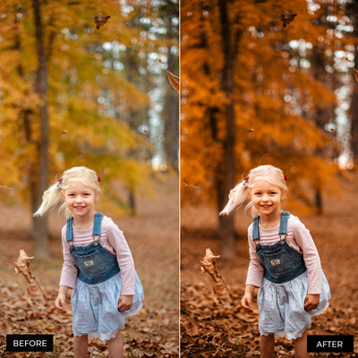 Autumn Lightroom Presets