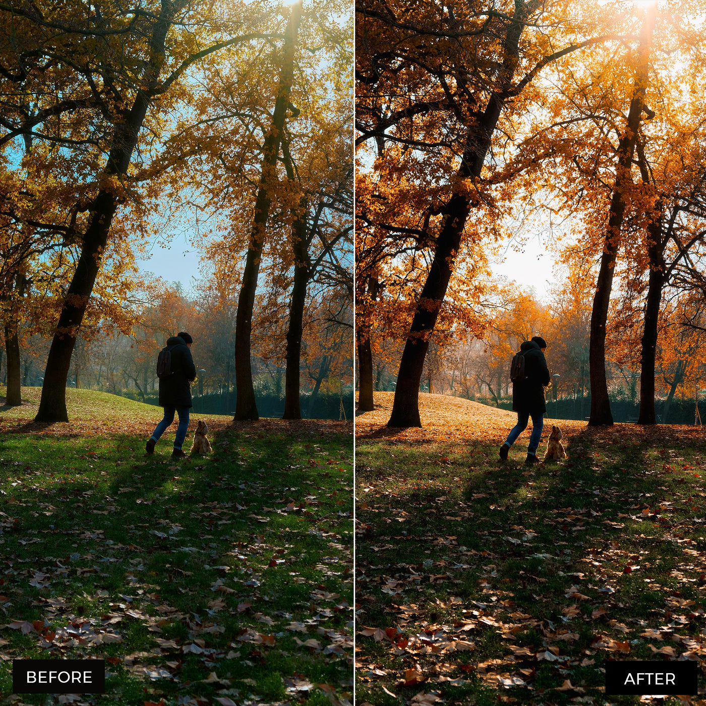 Autumn Lightroom Presets