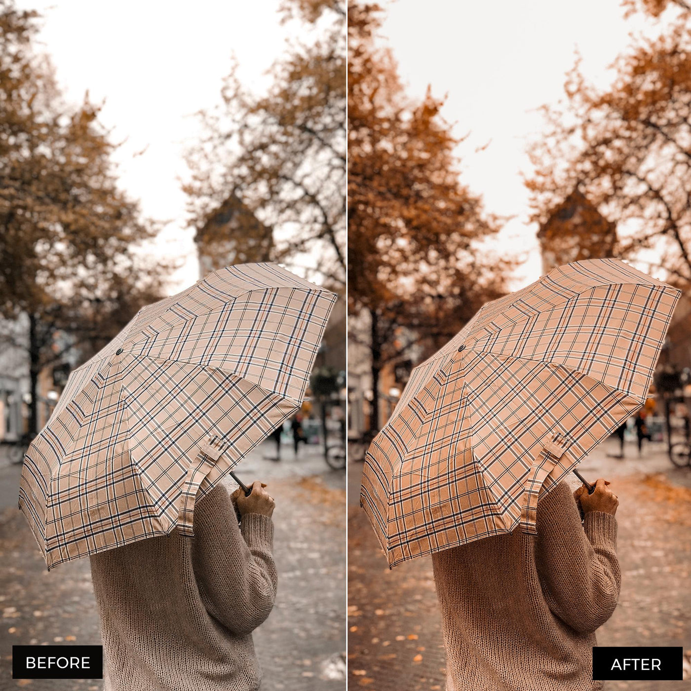 Autumn Lightroom Presets