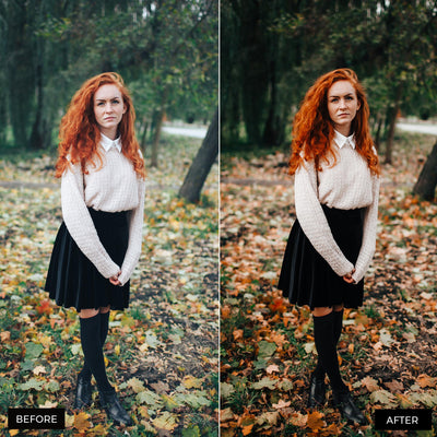 Autumn Lightroom Presets