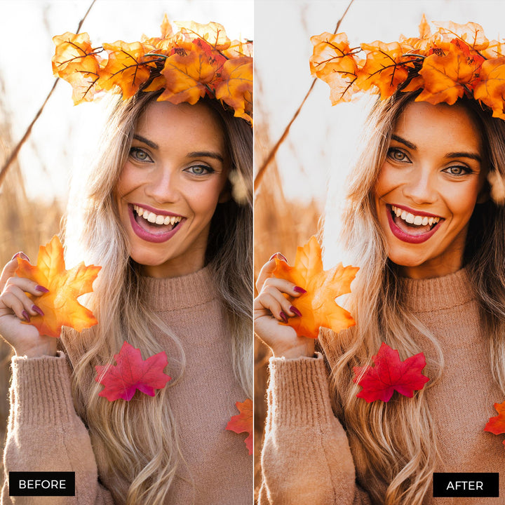 Fall Vibes Lightroom Presets