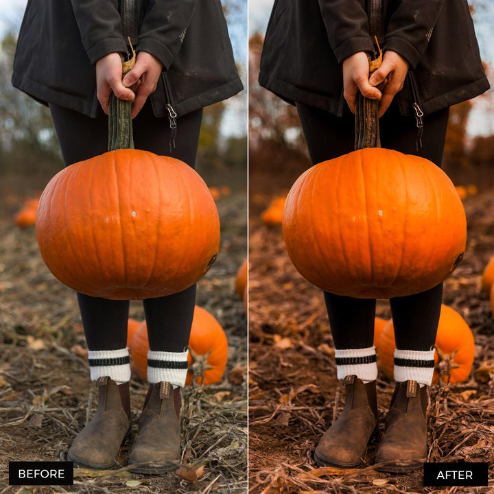 Fall Vibes Lightroom Presets