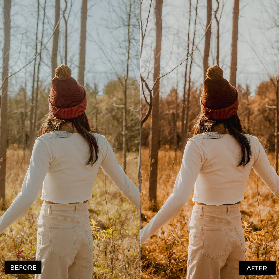 Fall Vibes Lightroom Presets