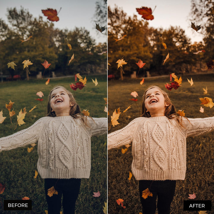 Fall Vibes Lightroom Presets