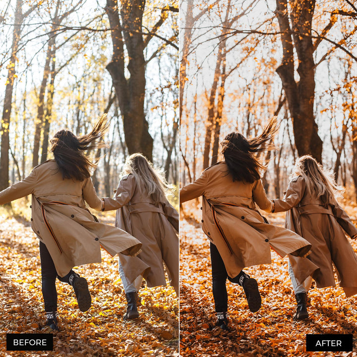 Fall Vibes Lightroom Presets