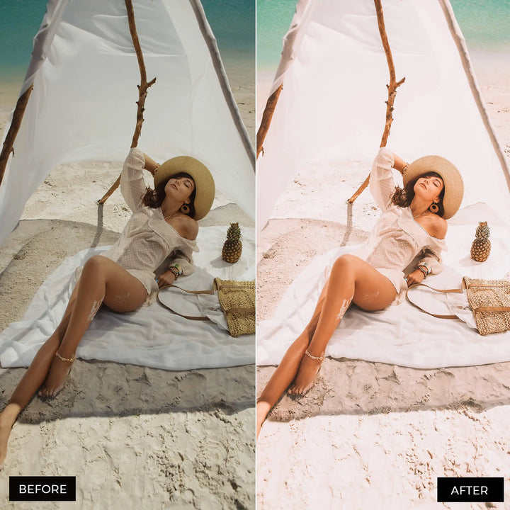 Influencer Lightroom Presets