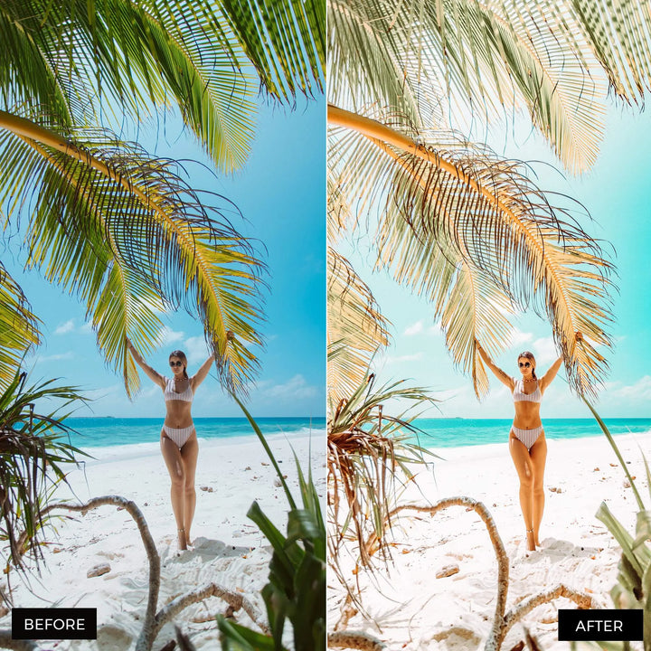 Instgram Blogger Presets