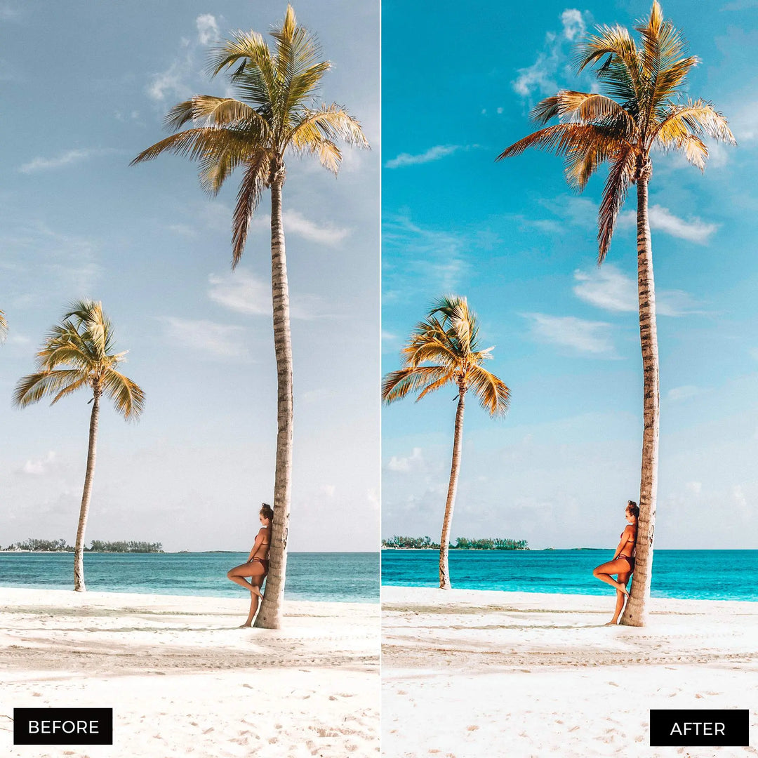 Instgram Blogger Presets