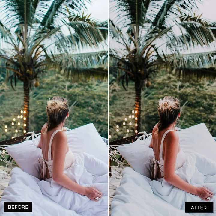 Jungle Lightroom Presets Collection Presetsh.com