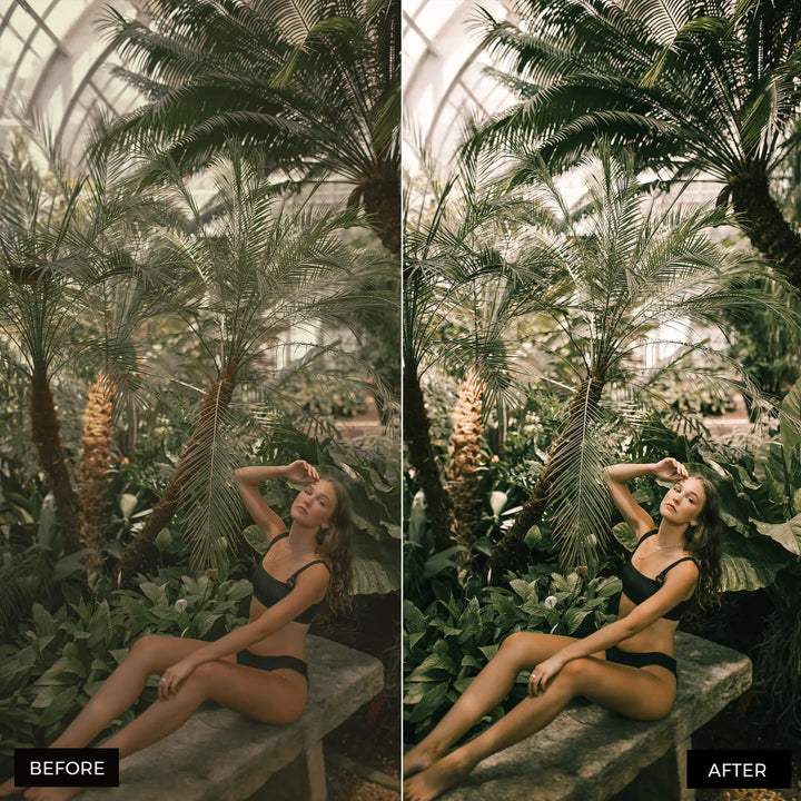 jungle preset