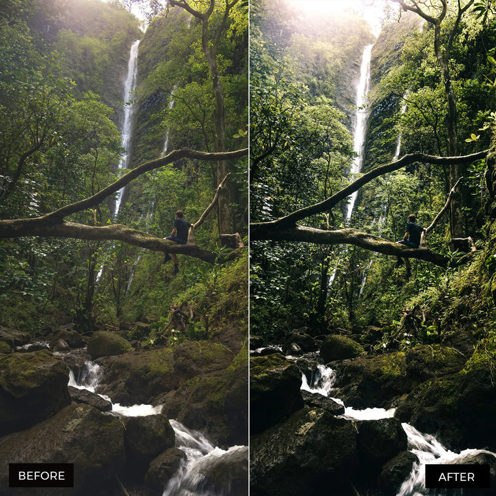 jungle preset