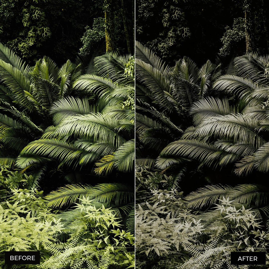 jungle preset