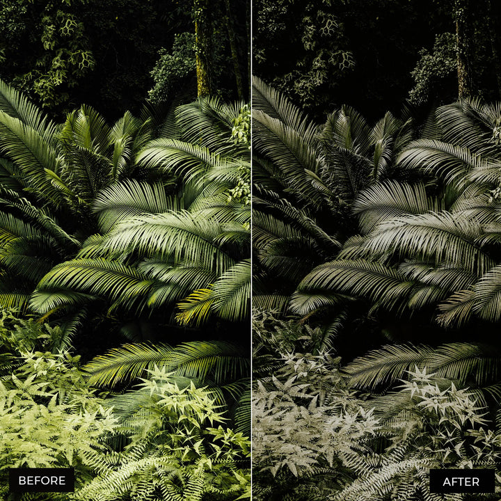 jungle preset