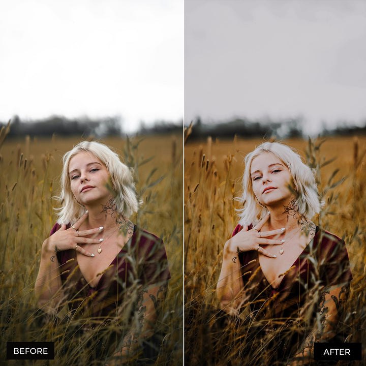 Moody Lightroom Presets