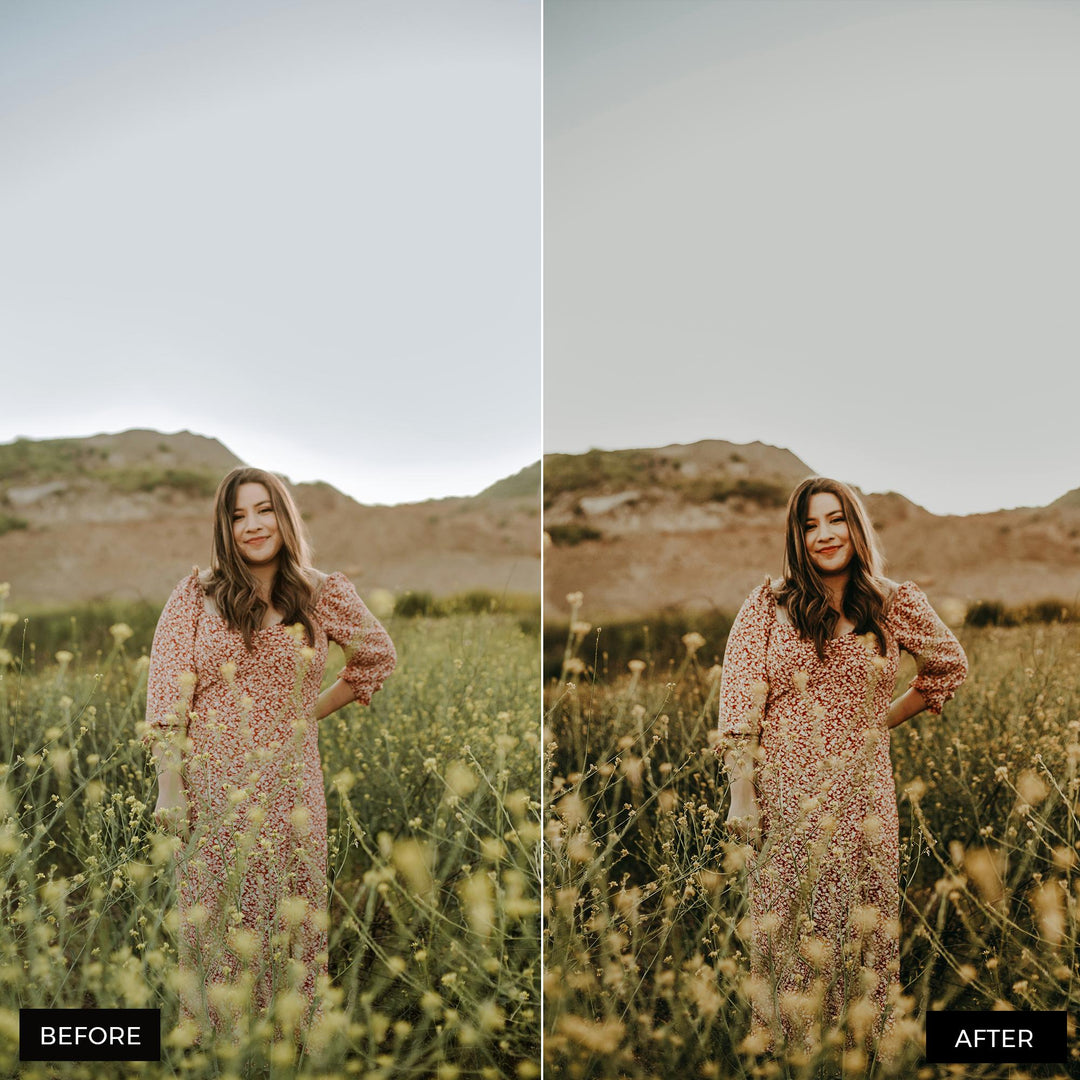 Moody Lightroom Presets