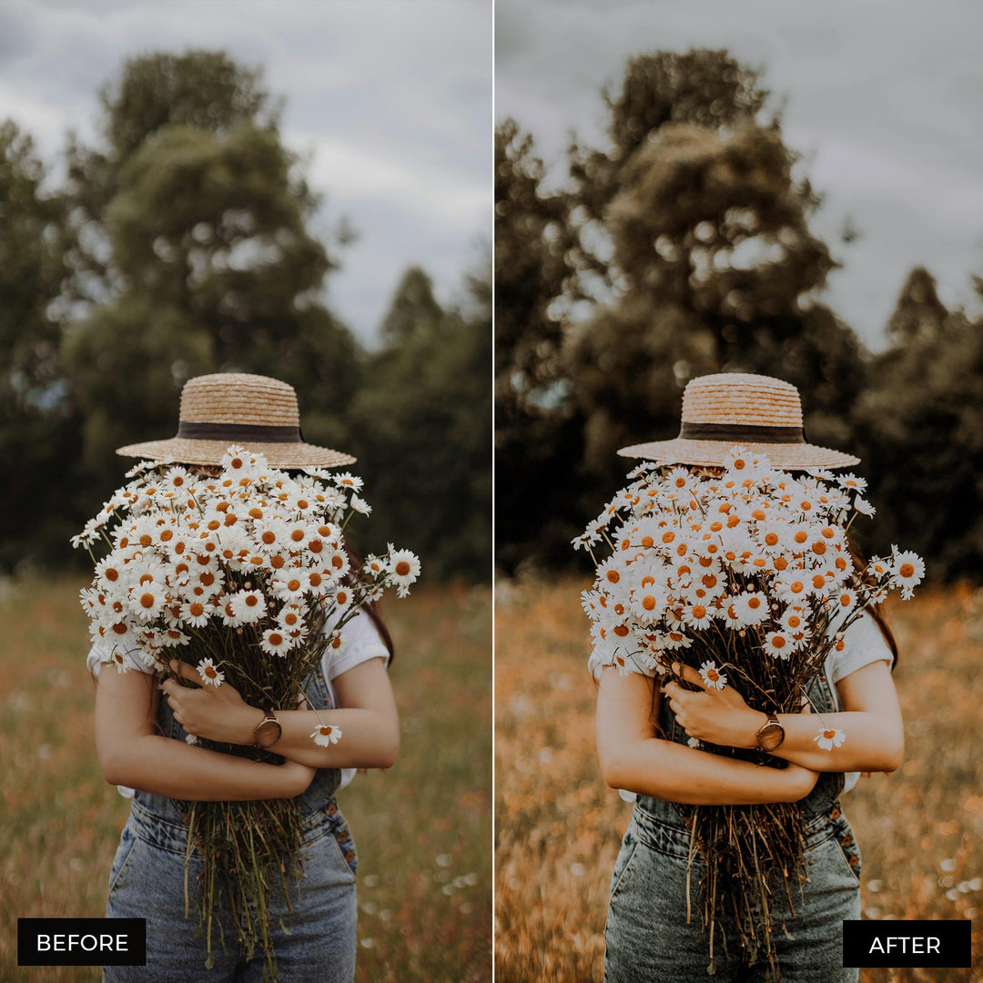 Moody Lightroom Presets