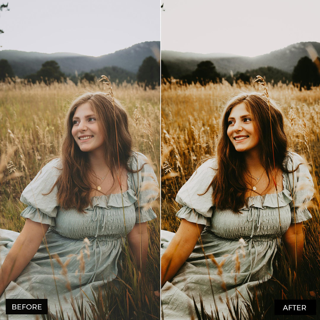 Moody Lightroom Presets