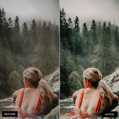 Moody Blogger Presets