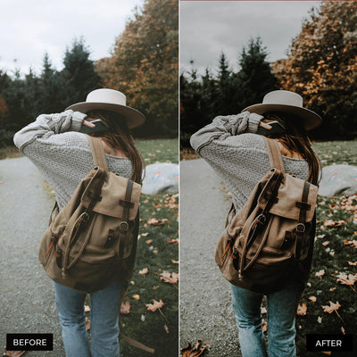 Moody Blogger Presets