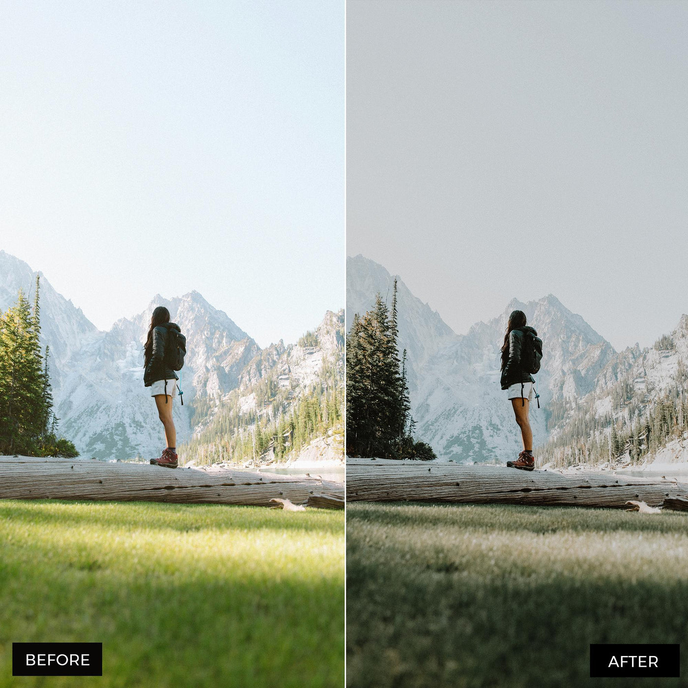 Moody Blogger Presets