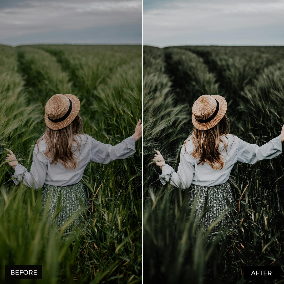 Moody Blogger Presets