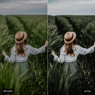 Moody Blogger Presets