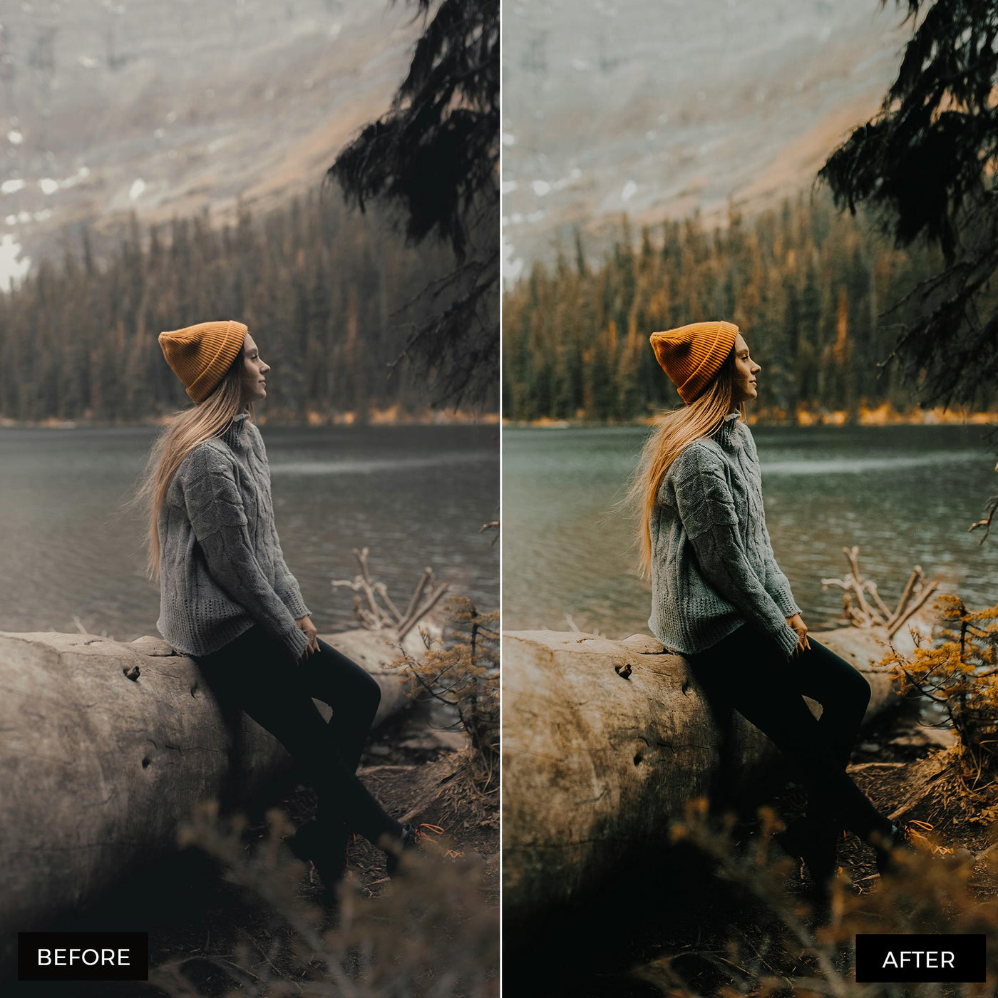 Moody Blogger Presets