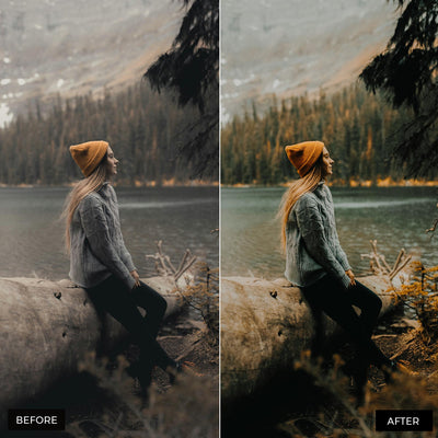 Moody Blogger Presets